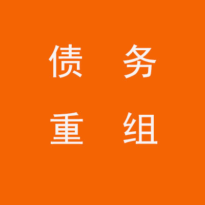 大名个人债务重组优化